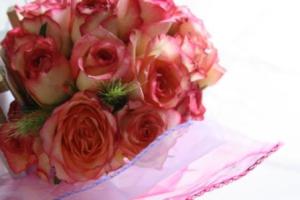 img_1191-300x200
